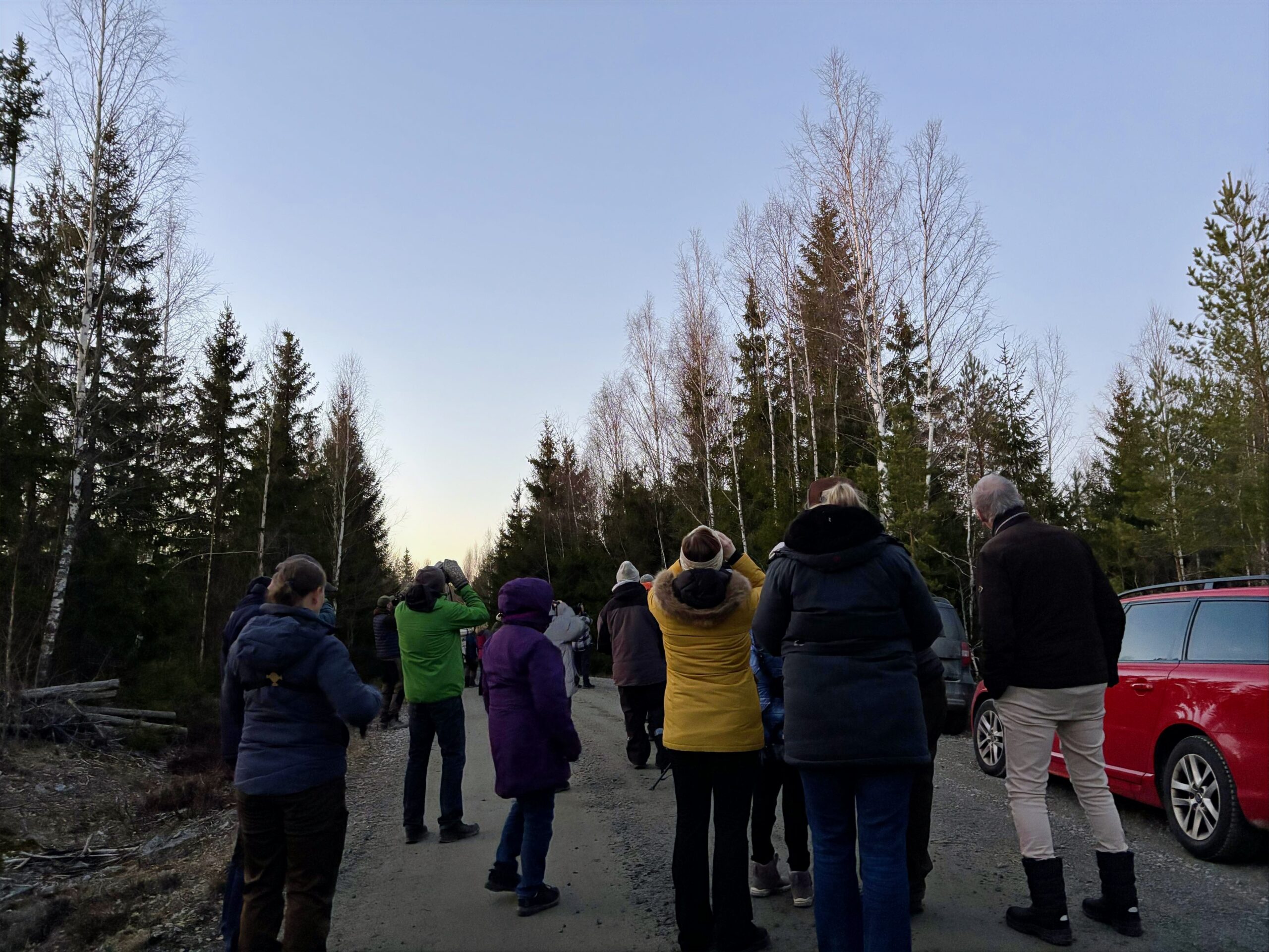 Ugglor runt Västerås 22 mars 2025
