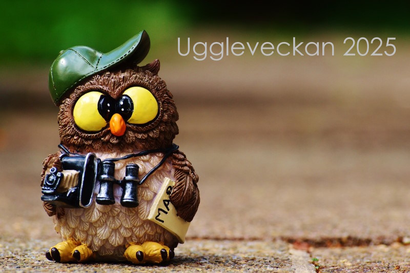 Uggleveckan 2025 - dag för dag