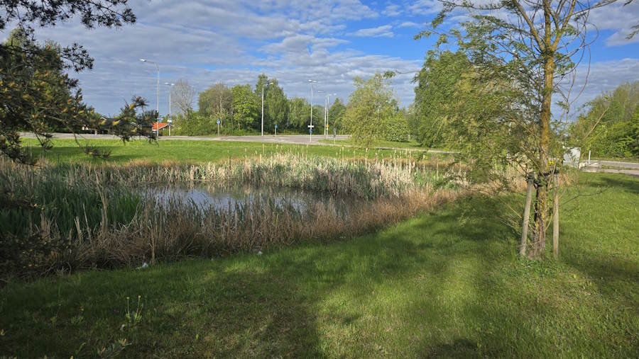 Rörhönor runt Västerås